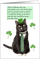 Happy St Patricks Day Funny Cat in Tie and Hat Limerick Humor card
