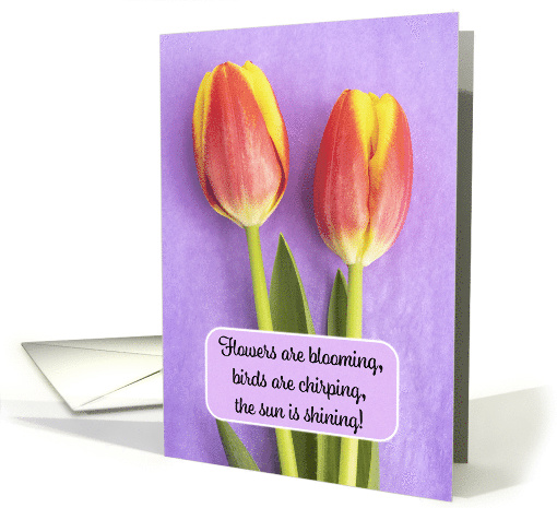 Happy Easter Spring is Here For Anyone Tulips on Purple Photo card