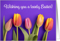 Happy Easter For Anyone Beautiful Tulips on Vibrant Purple Photograph card