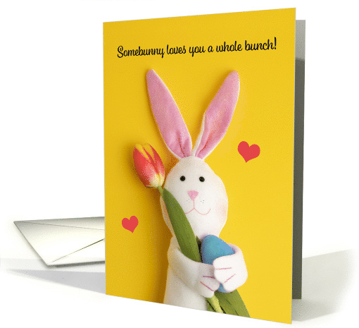 Happy Easter For Anyone Somebunny Loves You Cute Plush Rabbit card