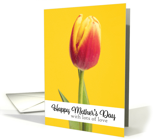 Happy Mothers Day wtih Love Pretty Tulip on Yellow Photograph card