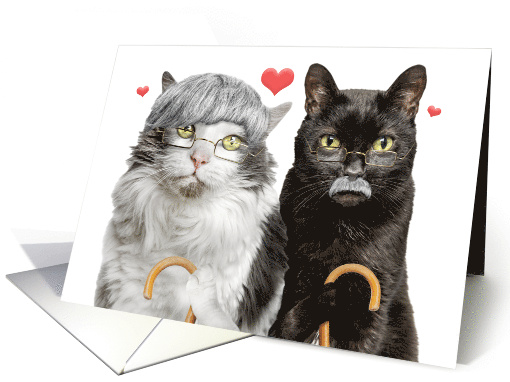 Happy Anniversary Funny Old Cat Couple With Gray Hair and... (1832442)