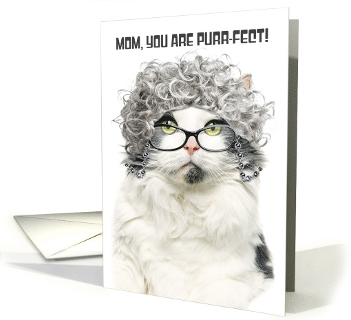 Happy Mothers Day Funny Old Cat With Gray Hair and Glasses Humor card