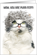 Happy Mothers Day Funny Old Cat With Gray Hair and Glasses Humor card