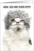 Happy Birthday Mom Day Funny Old Cat With Gray Hair and Glasses Humor card