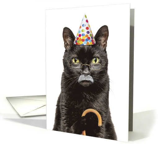 Happy Birthday Old Grumpy Old Man Sourpuss Cat Humor card (1833000)