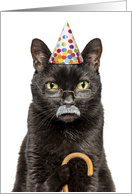 Happy Birthday Old Grumpy Old Man Sourpuss Cat Humor card