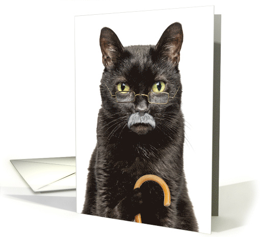 Happy Fathers Day Old Grumpy Old Man Sourpuss Cat Humor card (1833030)