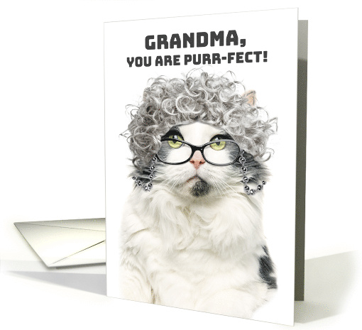 Happy Birthday Grandma Funny Cat With Gray Hair and Glasses Humor card