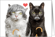 Happy Grandparents Day Elderly Cat Couple Humor card