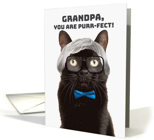 Happy Fathers Day Grandpa Old Man Cat Humor card (1833288)