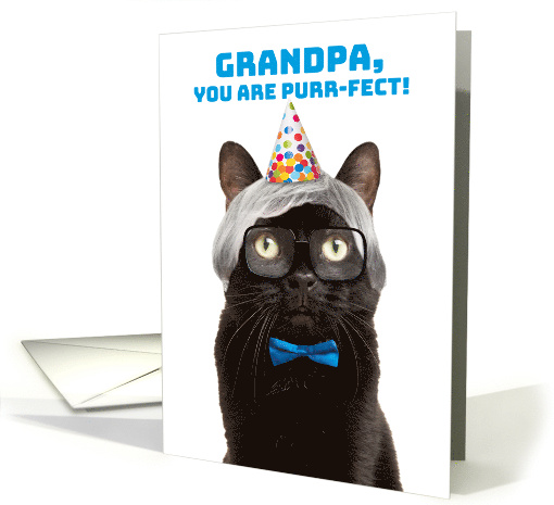 Happy Birthday Grandpa Old Man Cat Humor card (1833290)