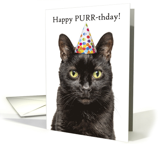 Happy Birthday For Anyone Cat in Party Hat Pun Humor card (1833706)