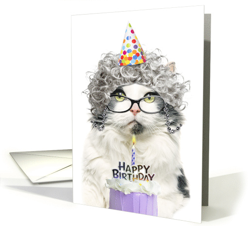 Happy Birthday Funny Old Lady Cat in Party Hat With Cake Humor card