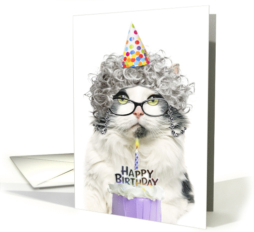 Happy Birthday Funny Old Lady Cat in Party Hat With Cake Humor card
