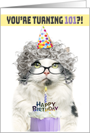 Happy Birthday 101st Funny Old Lady Cat in Party Hat With Cake Humor card