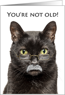 Happy Birthday Older Male Cat in Gray Mustache With Glasses Humor card