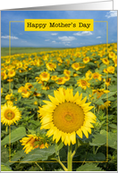 Happy Mothers Day Beautiful Sunflower Field card