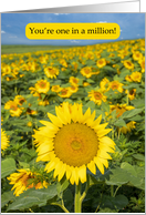 Happy Administrative Professionals Day Sunflower Field card