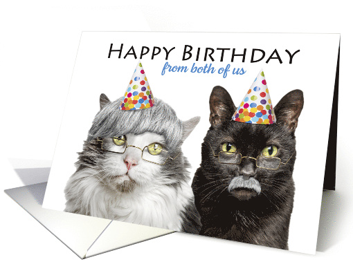 Happy Birthday From Both of Us Old Cats Grandparents Humor card