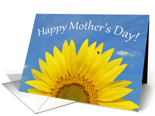 Happy Mothers Day Beautiful Sunflower with Ladybug Photograph card