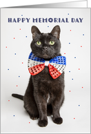 Happy Memorial Day Cute Patriotic Cat in Red White Blue Bow Tie card