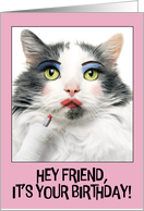 Happy Birthday Friend Funny Cat Putting on Lots of Make Up Humor card
