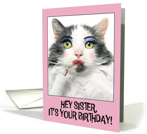 Happy Birthday Sister Funny Cat Putting on Lots of Make Up Humor card
