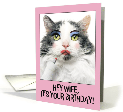 Happy Birthday Wife Funny Cat Putting on Lots of Make Up Humor card