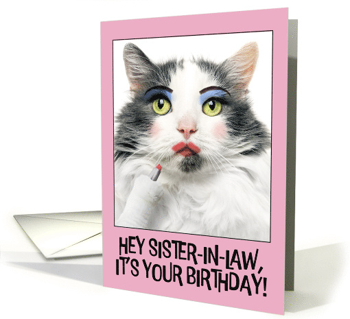 Happy Birthday Sister In Law Funny Cat Putting on Lots of Make Up card