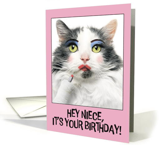 Happy Birthday Niece Funny Cat Putting on Lots of Make Up Humor card
