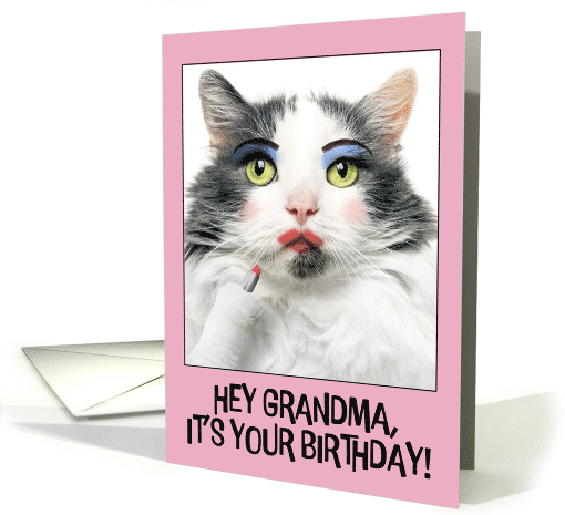 Happy Birthday Grandma Funny Cat Putting on Lots of Make Up Humor card