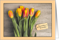 Happy Grandparents Day Grandma Grandpa Tulips Flower Bunch card