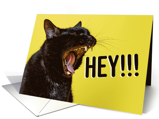 Happy Birthday For Anyone Yelling Cat Humor card (1877774)