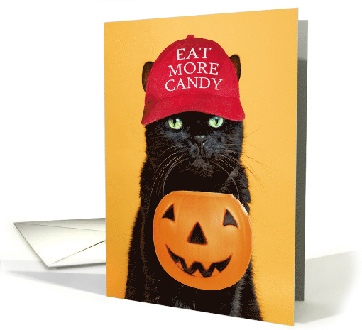 Happy Halloween Cat in Trump Hat Eat More Candy Humor card (1879094)