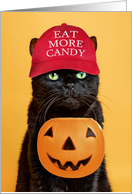 Happy Halloween Cat in Trump Hat Eat More Candy Humor card