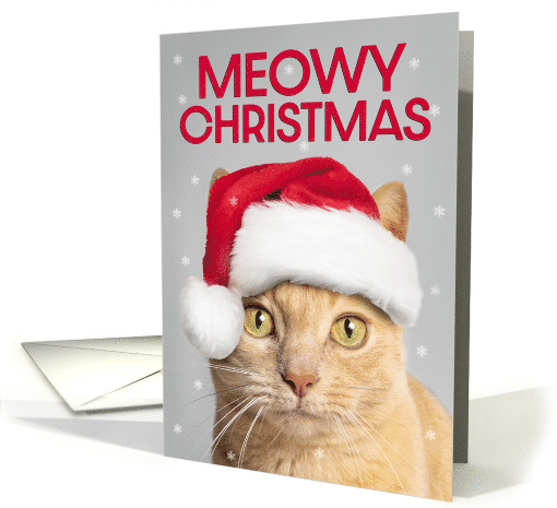 Merry Christmas For Anyone Cute Orange Tabby Cat in Santa... (1883204)