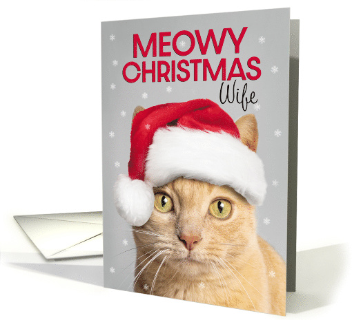 Merry Christmas Wife Cute Orange Tabby Cat in Santa Hat Humor card