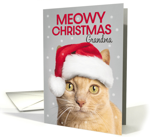 Merry Christmas Grandma Cute Orange Tabby Cat in Santa Hat Humor card