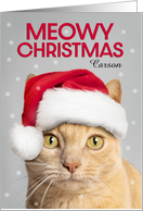Merry Christmas Custom Name Cute Orange Tabby Cat in Santa Hat Humor card