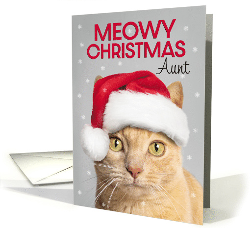 Merry Christmas Aunt Cute Orange Tabby Cat in Santa Hat Humor card