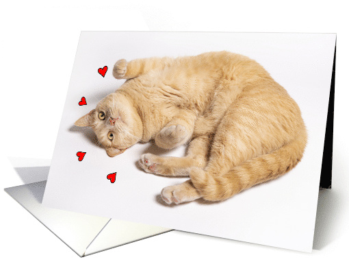 Thinking of You Romance Cute Orange Tabby Cat With Hearts card