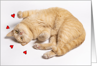 Thinking of You Romance Cute Orange Tabby Cat With Hearts card