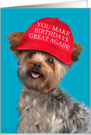 Happy Birthday For Anyone Yorkie Dog in Trump Hat Humor card