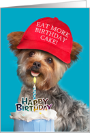 Happy Birthday For Anyone Yorkie Dog in Trump Hat With Cake Humor card