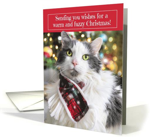Merry Christmas For Anyone Cute White and Gray Longhair... (1892190)