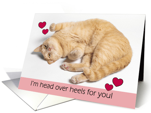 Happy Valentines Day For Anyone Orange Tabby Cat Head... (1896530)