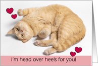 Happy Valentines Day For Anyone Orange Tabby Cat Head Over Heels Humor card