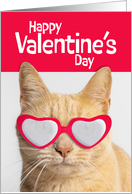 Happy Valentines Day For Anyone Orange Cat in Heart Glasses Humor card