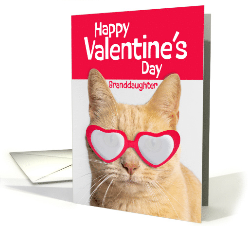 Happy Valentines Day Granddaughter Orange Tabby Cat in... (1896602)